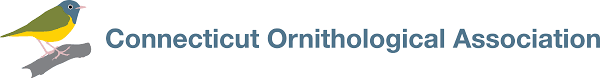 Ct O a.png