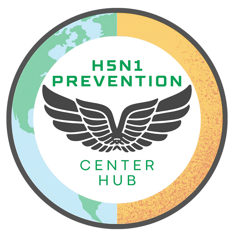 Hub Copy.png