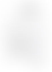 Programa Verano Educativo