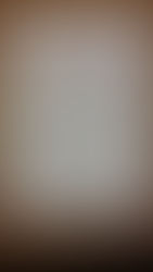 Concursantes de Educación Especial.