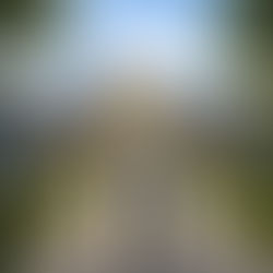 Choosing the Right Florida Nursing Home