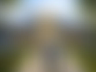 Choosing the Right Florida Nursing Home