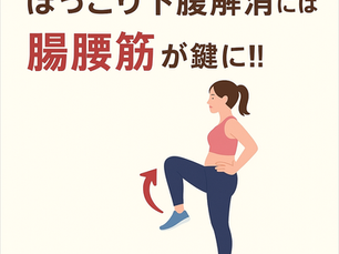 ぽっこり下腹解消には腸腰筋が鍵に‼︎