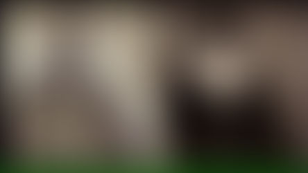 o ex-escravo que ensinou Darwin: o Preto que mudou o Branco - John Edmonstone