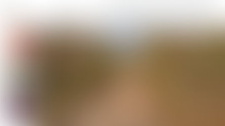 Pequenas estradas em reservas naturais podem afetar a vida animal e vegetal? 