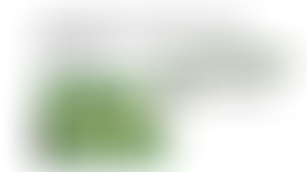 Interação Planta-Planta - resultados condicionais em uma planta hemiparasita! Plant Ecology!