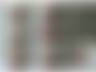 Beach series 154-146