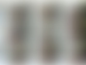 Beach series 145-136