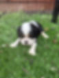 IMG_7557.jpeg