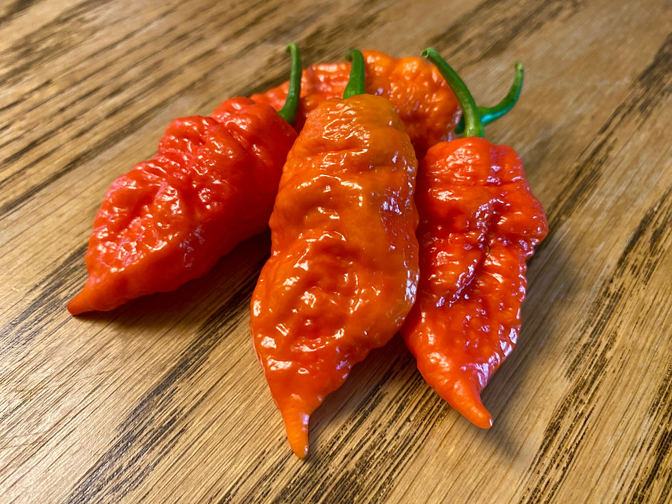 Miniature : Thor's Hammer