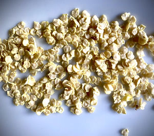 SKOD SCUD SCODE SKODA SQUOD SKUD deet dëët DËËT DEET DIT DEATPEPPERS PIMENTS HOT SAUCE SAUCE PIQUANTE SEMENCES GRAINES