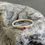 Thumbnail: Birthstone Sterling Silver Stacking Ring Set of 3