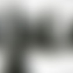 Tehisaru - uue ajastu projektijuhi abiline, agent, asemik või allutaja?