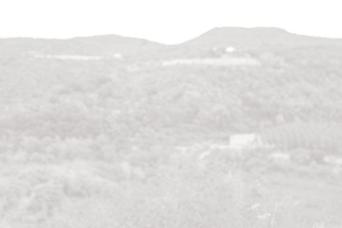 CWPhysio_Landscape_background.jpg