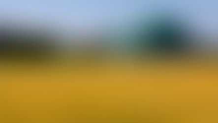 Biokaasulaitosinvestoinnin eteenpäin vieminen yhä helpommaksi Asiakkaalle