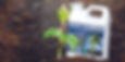 SeedStarter_LifeShot_web.jpg