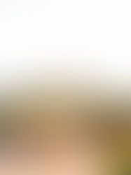 Vineyard scene in Sonoma, California.