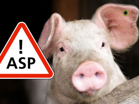 ASP-Status: Wer jetzt nicht handelt, ist selbst schuld!