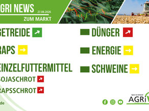 Aktuelle Marktnews