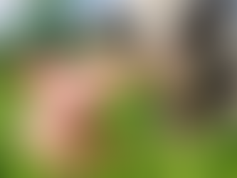 Willkommen 2026 – Gemeinsam zuversichtlich ins neue Jahr