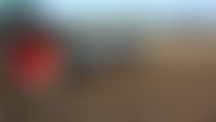 Bodenbearbeitung nach Hackfrüchten