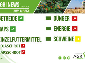 Aktuelle Marktnews