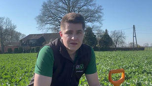 Frühjahrsapplikation Raps 