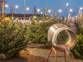 Weihnachtsbaumverkauf
