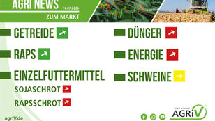 Aktuelle Marktnews