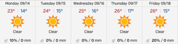 Forecast