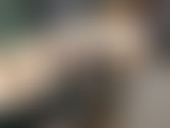 Week Fourteen – Wednesday