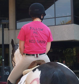 UL Louisville Equestrian Team Horseshoes for Hope