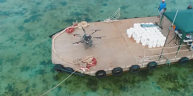 Envico Drone Aerial Baiting Technology supports Island Conservation to eradicate rats in t