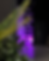 vert website images-7.png