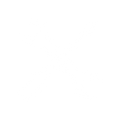 pann.png