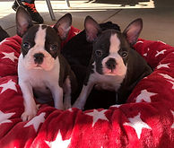 IMG-20190710-WA0027.jpg
