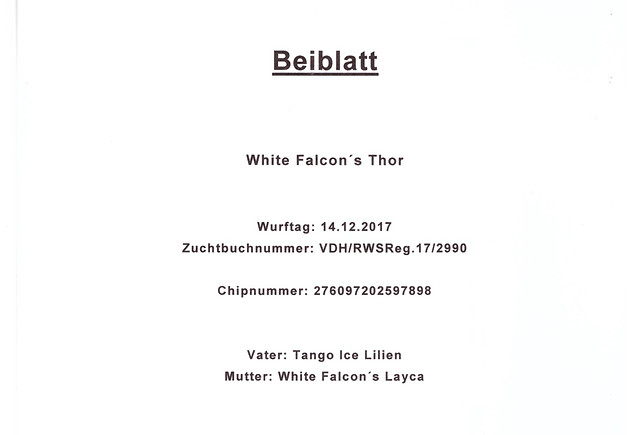 Thor