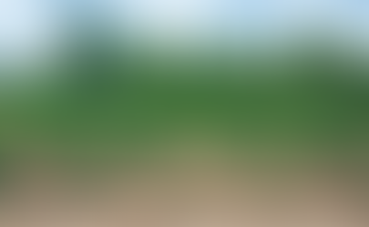 Reforestation in the United States, Meaningful Climate Benefit? Yay or Nay?