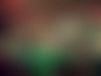 PUNK BAND ALOHA BROHA COMES TO FLORIDA