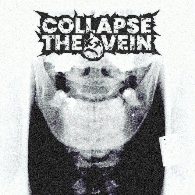 COLLAPSE THE VEIN RELEASES NEW SINGLE - "TALK SHIT"