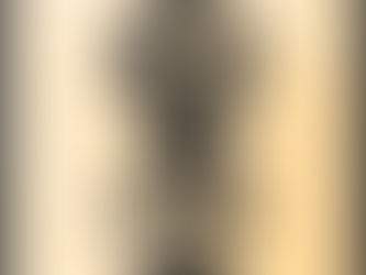 TRACK FEATURE: THE MENZINGERS - "SECOND CITY"