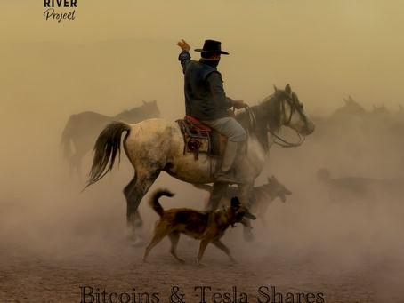 Single Feature: The Cumberland River Project