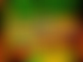 FLORIDA UNDERGROUND FEST LINEUP ANNOUNCED