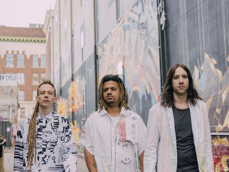TRACK FEATURE: NLM - "PUT UP A FIGHT"
