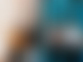 Single Feature: Hotel Mira