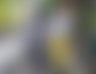 Single Feature: Aliens Don't Ring Doorbells