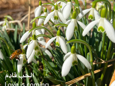 Single Feature: Chris Pellnat