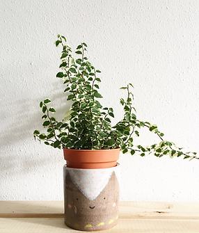 Untitled design (11).png