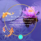 Keys to Nature Connection Cards-3 copy 13_edited.jpg
