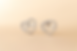 Sparkling Heart “Love” Stud Earrings